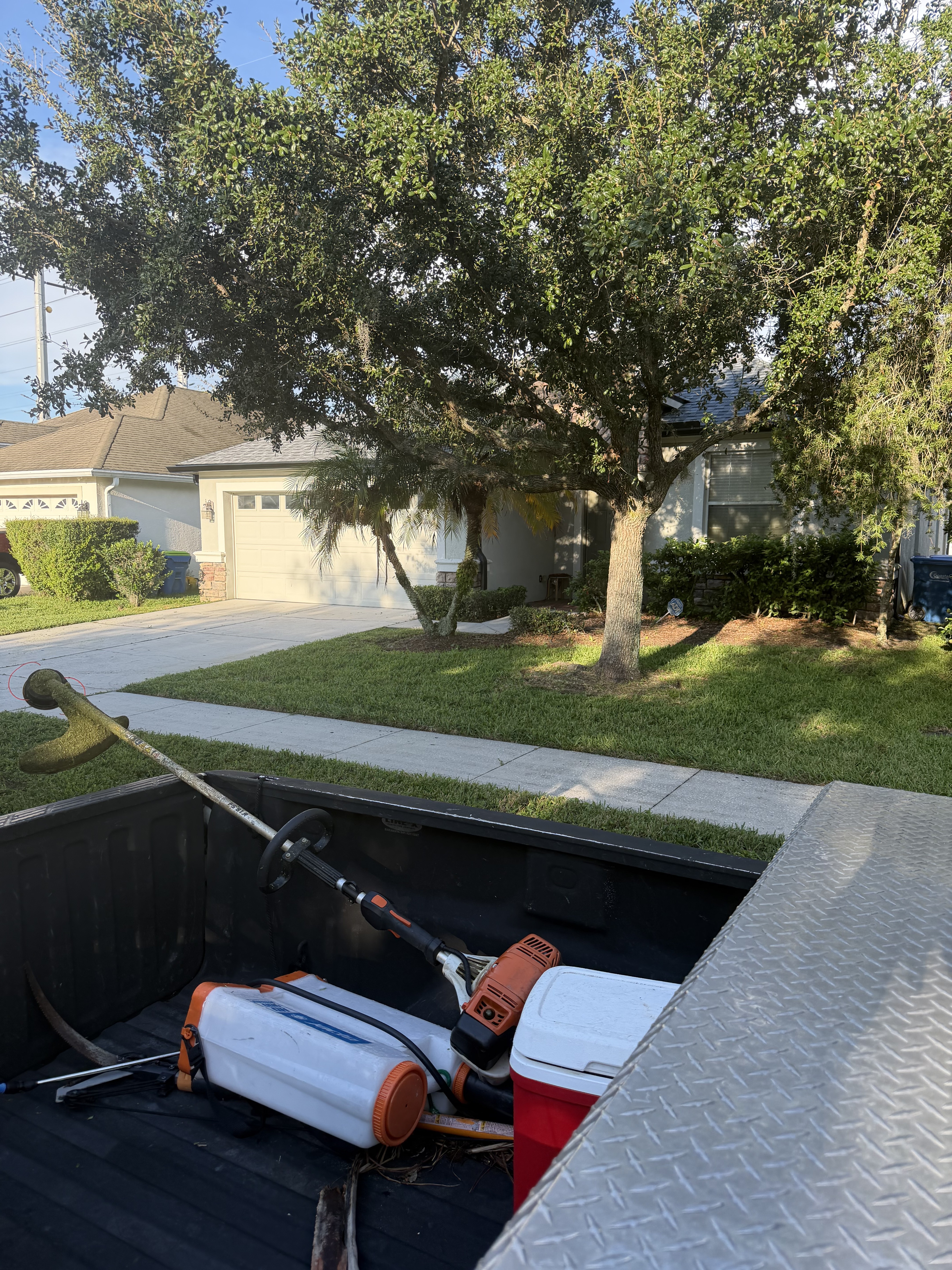 Residential lawn and lawn care equipment